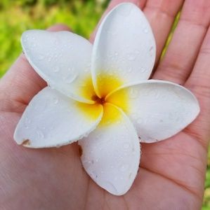 Meet your Posher, Pahoua